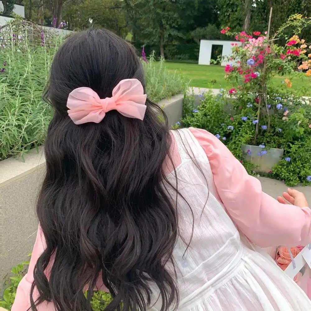 犹太长老的灵猫