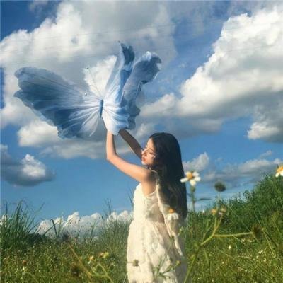 阿宝末世求生记